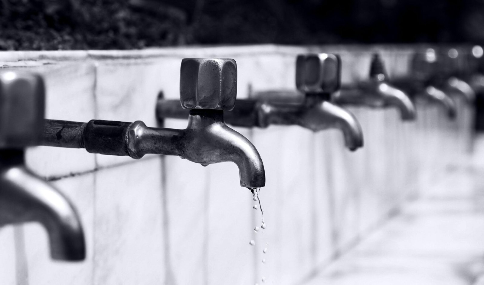 Plumbing Seo